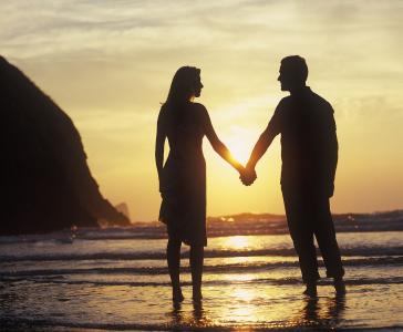 ע¾ҵ̬ְҵѡ չǰ