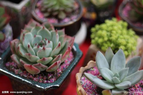 ձһ뾳߸ȾϷǳֵı¹ڲ